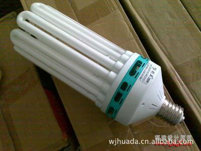 【【供應(yīng)】朗宇三基色節(jié)能燈具 pbt塑件/U型熒光燈管】?jī)r(jià)格,廠家,圖片,節(jié)能燈,常州市亦普照明電器-