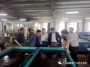 日韓專家訪問(wèn)江蘇省淡水水產(chǎn)研究所揚(yáng)中基地，共促水產(chǎn)技術(shù)交流與合作